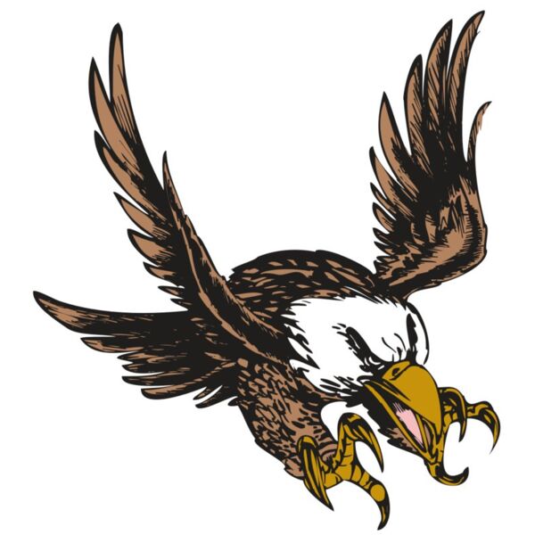 BAW EAG 05 RC Vignette