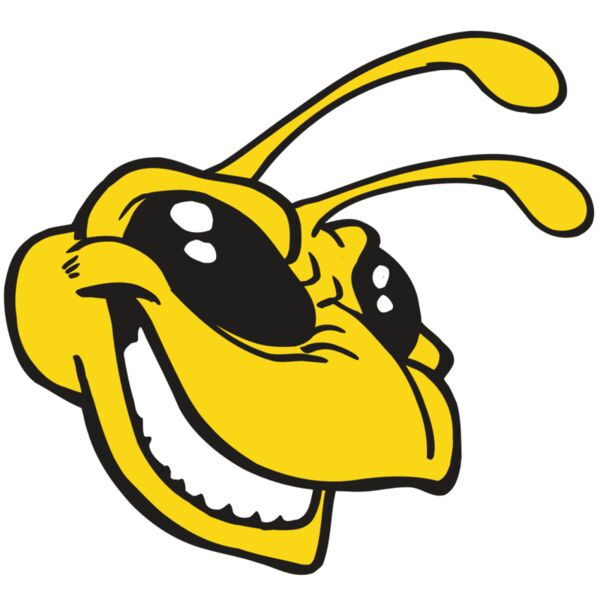 AR5 BEE 24 RQC Vignette