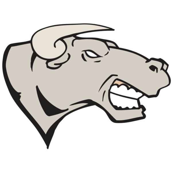 AR BULL 18 RC Vignette