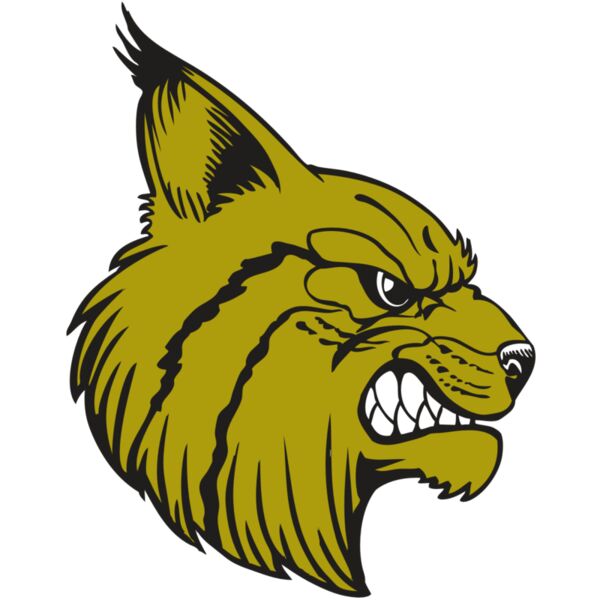 BAW BOBCAT 16 RC Vignette