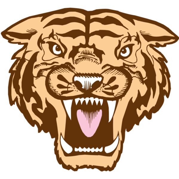 BAW TIGER 05 RC Vignette