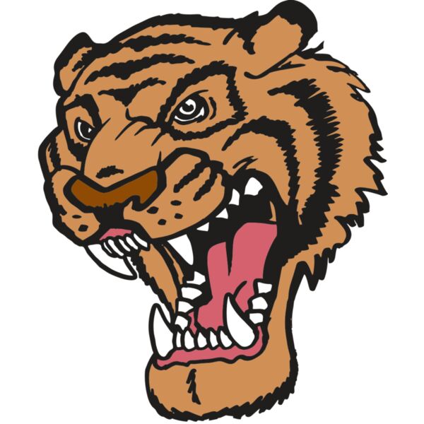 AR TIGER 12 RC Vignette