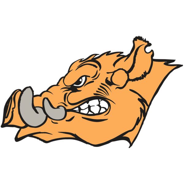 AR RAZORBACK 27 RC Vignette