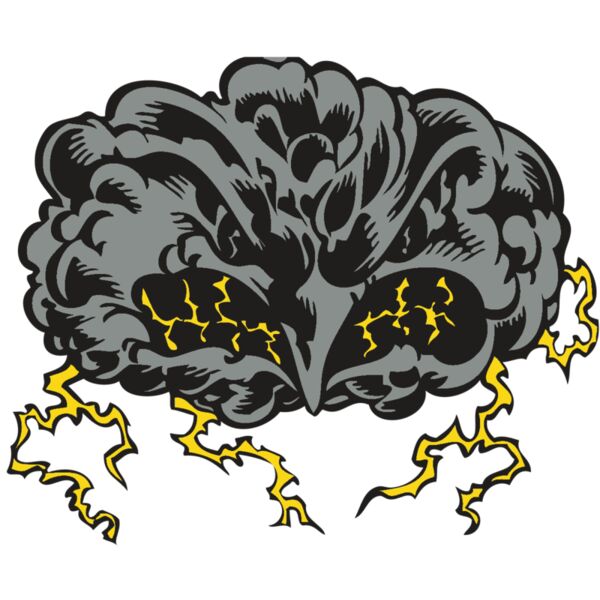 BAW STORM 11 RC Vignette