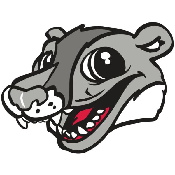 AR WOLVERINE 12 RC Vignette