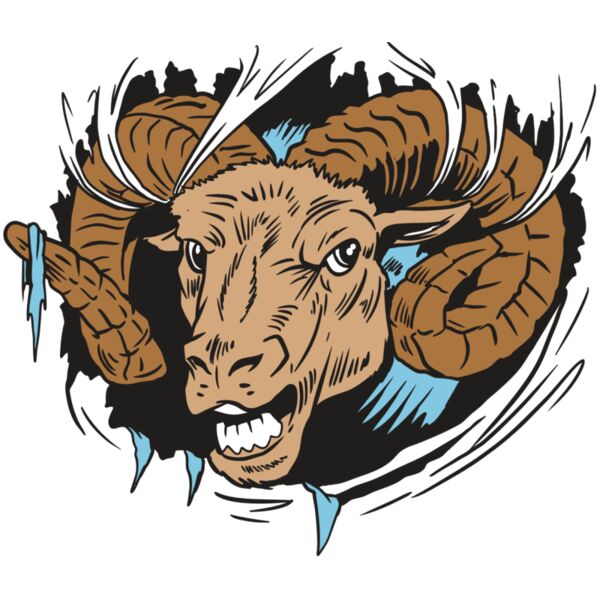 AR19 RAM 01 RQC Vignette