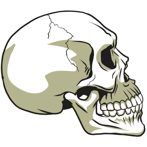 AR24 SKULL 12 RQC Vignette