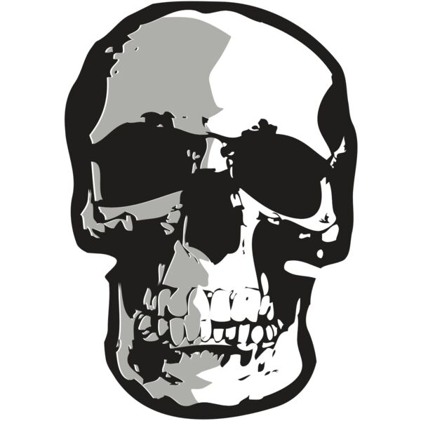 AR24 SKULL 01 RQC Vignette