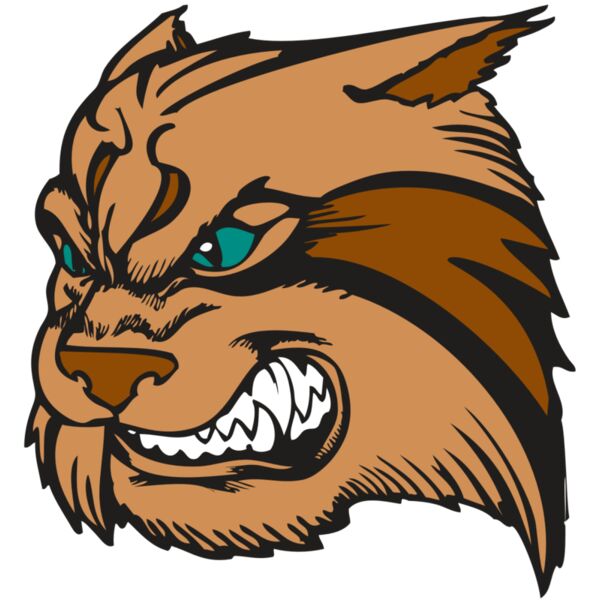 BAW WILDCAT 05 RC Vignette