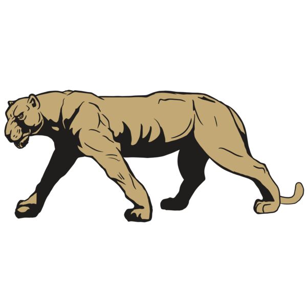 AR10 PANTHER 04 RQC Vignette