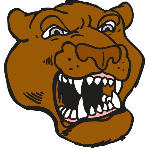 AR5 COUGAR 29 RQC Vignette