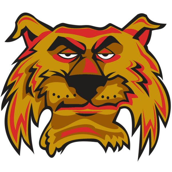 WILDCAT HD0503 RQC Vignette