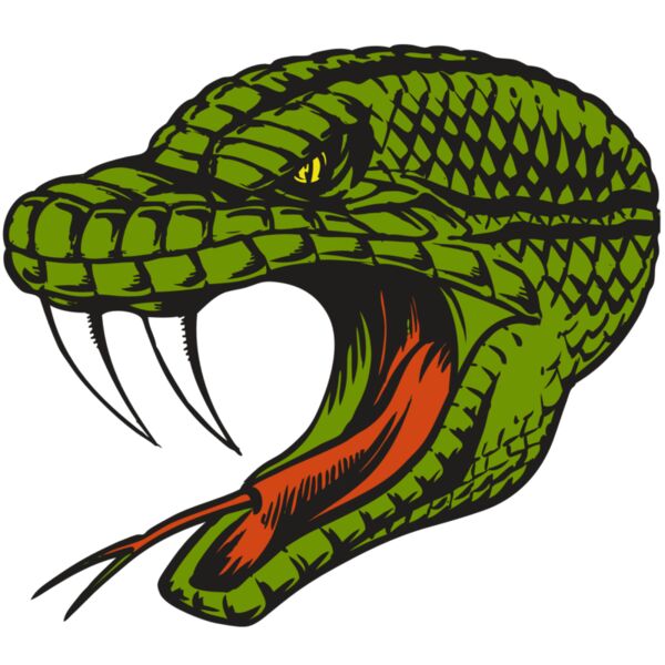 BAW SNAKE 14 RC Vignette