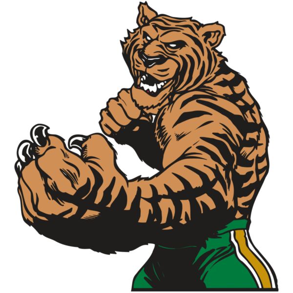 AR TIGER 64 RC Vignette