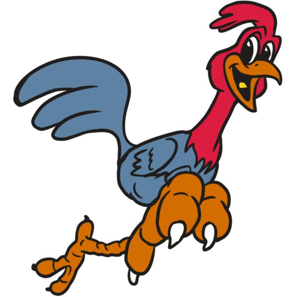 AR20 ROADRUNNER 35 RQC Vignette