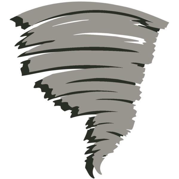 AR STORM 11 RC Vignette