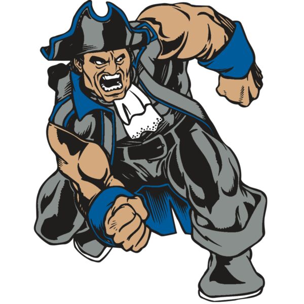 AR PATRIOT 11 RC Vignette