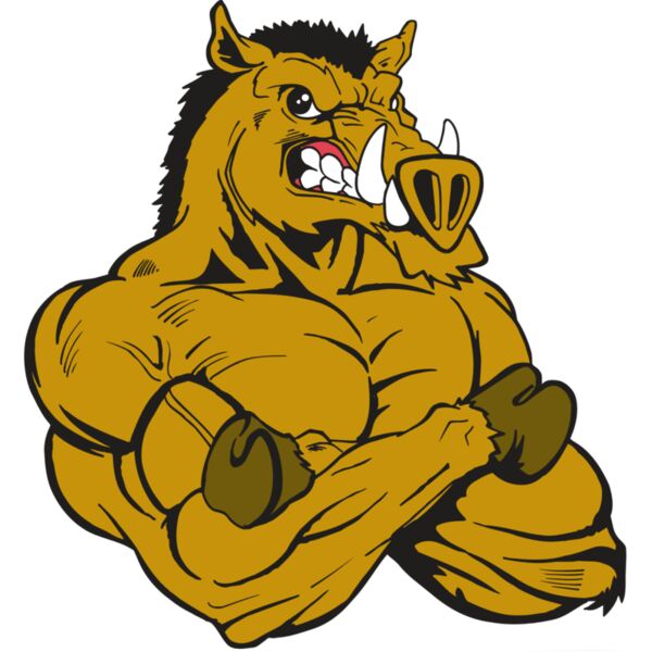 AR5 Razorback 17 RQC Vignette