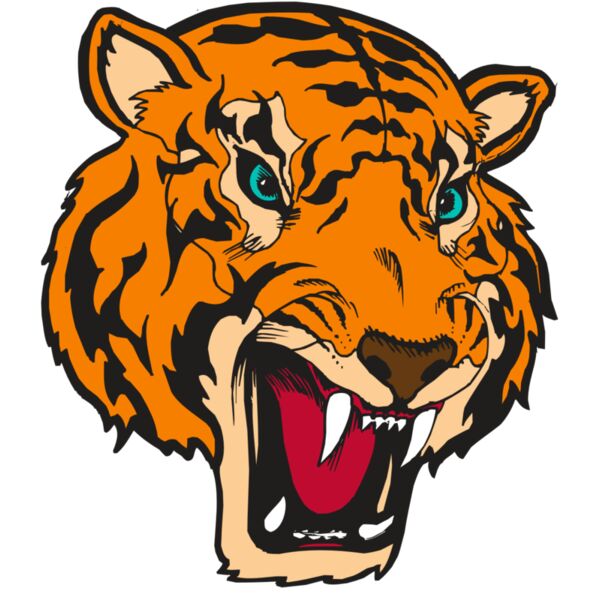 BAW TIGER 12 RC Vignette