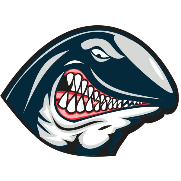 WHALE HD0501 RQC Vignette