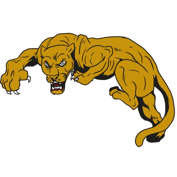 AR10 PANTHER 02 RQC Vignette