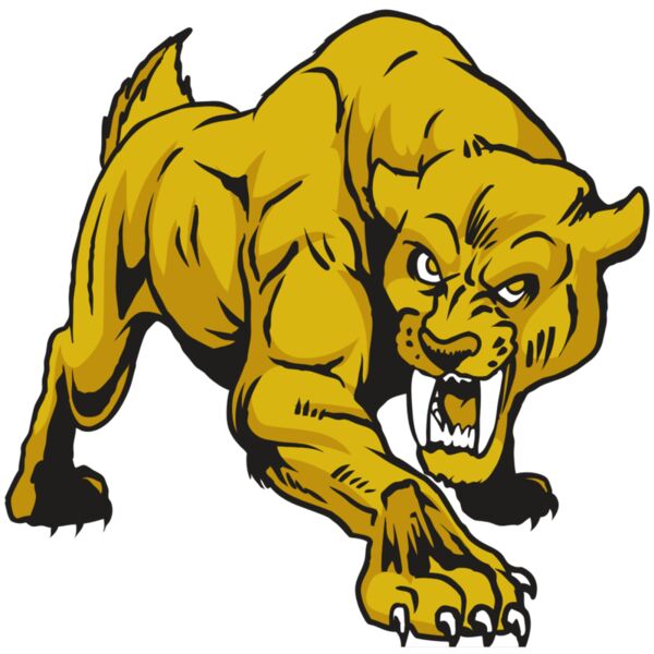 AR30 SABER 01 RQC Vignette