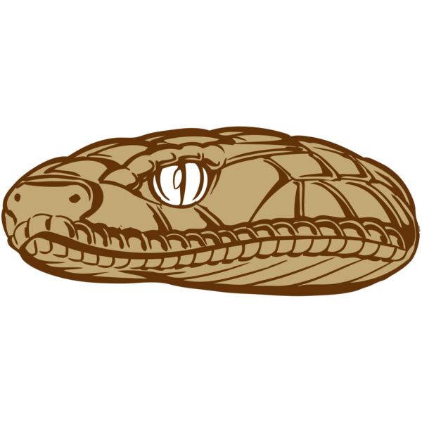 BAW SNAKE 12 RC Vignette