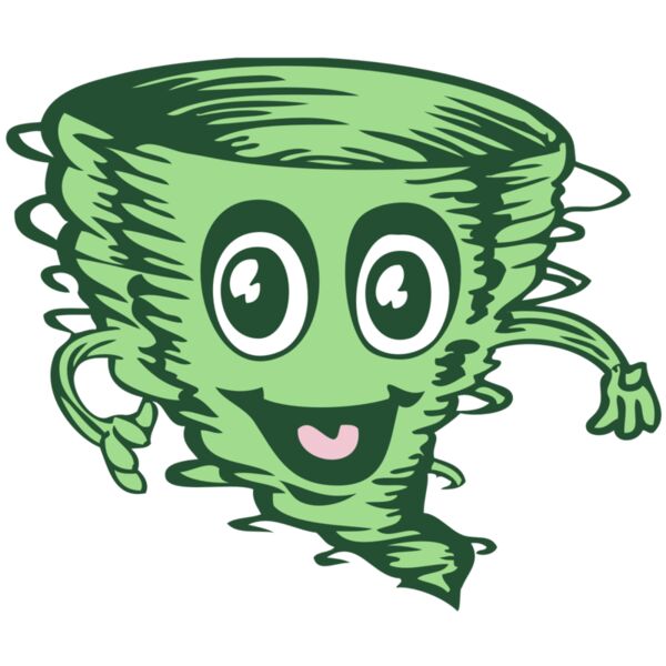 BAW STORM 16 RC Vignette