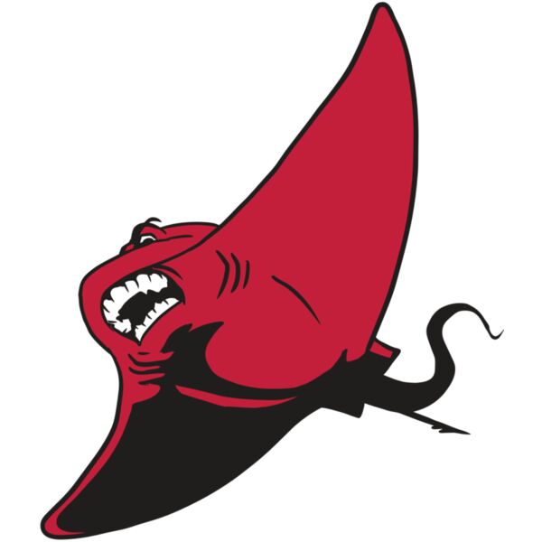 AR19 STINGRAY 04 RQC Vignette