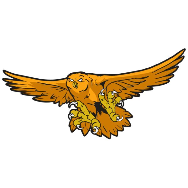 AR31 OWL 01 RQC Vignette