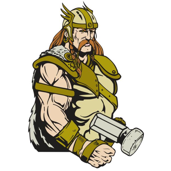 AR VIKING 38 RC Vignette