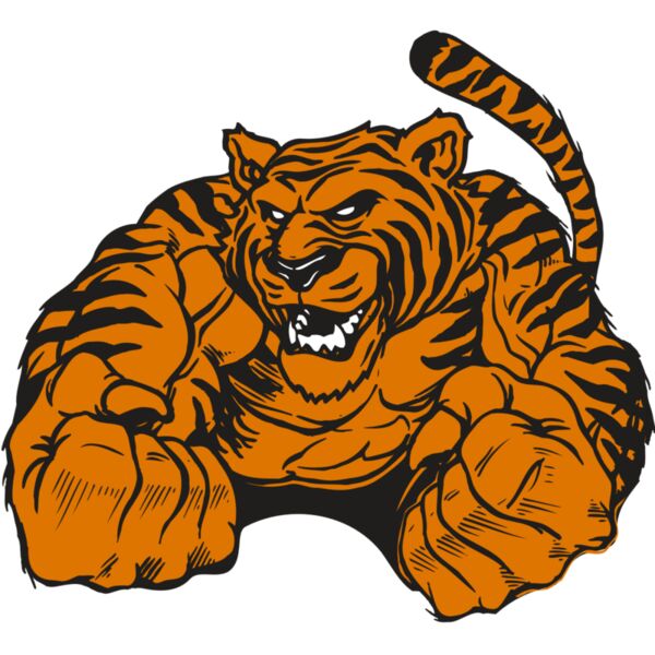 AR TIGER 55 RC Vignette