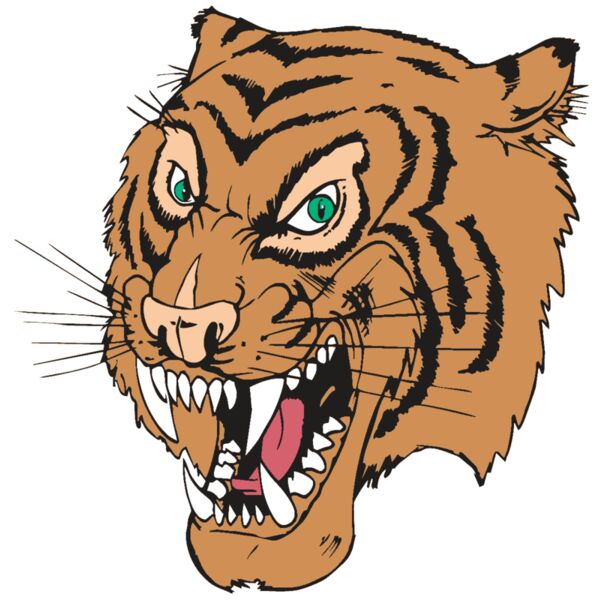 AR TIGER 49 RC Vignette