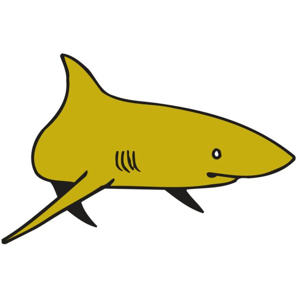 AR  SHARK 30 RC Vignette