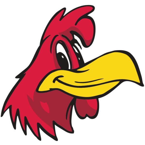 AR OTHER 30 RC Vignette