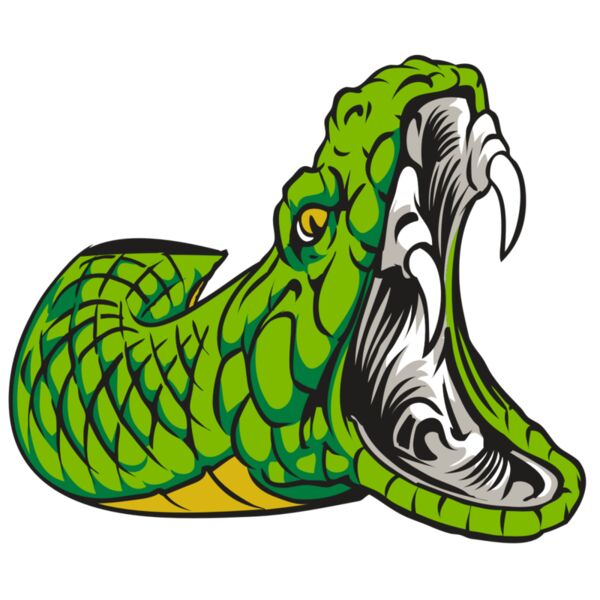 AR30 SNAKE 01 RQC Vignette