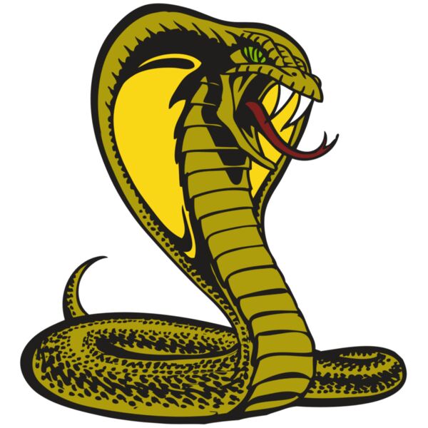 BAW SNAKE 02 RC Vignette