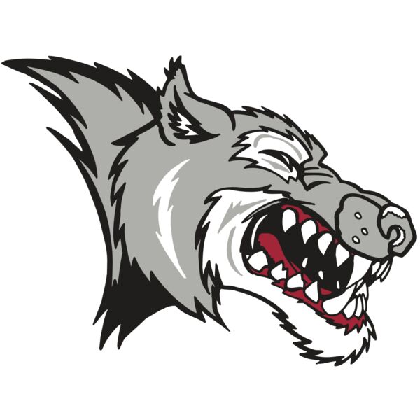 AR WOLF 15 RC Vignette