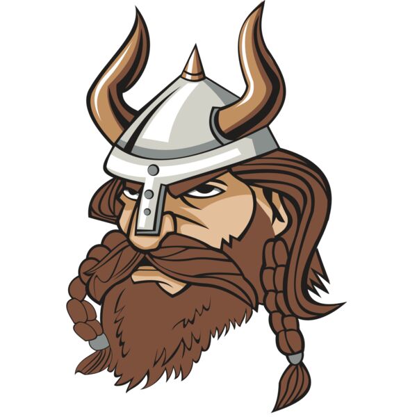 VIKING HD0501 RQC Vignette