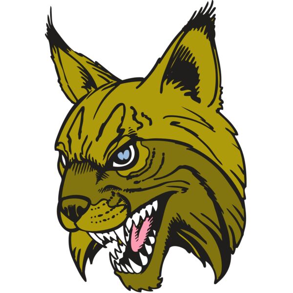 BAW BOBCAT 05 RC Vignette