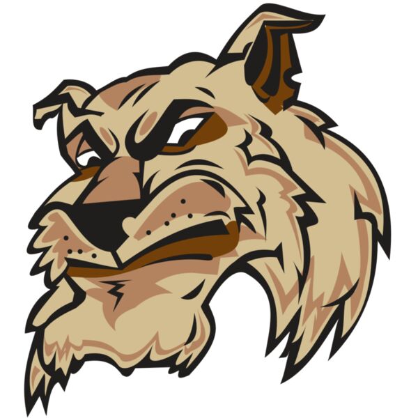 WILDCAT HD0501 RQC Vignette