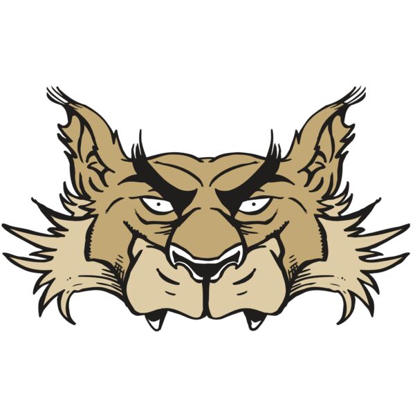 AR5 Wolf 28 RQC Vignette