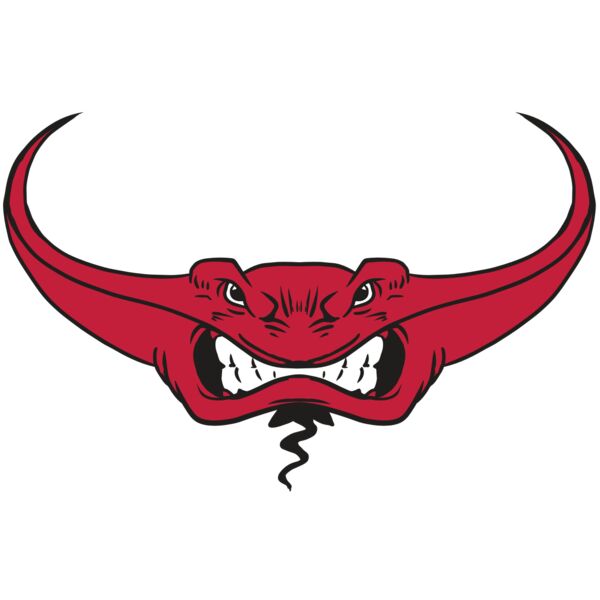 AR19 STINGRAY 03 RQC Vignette