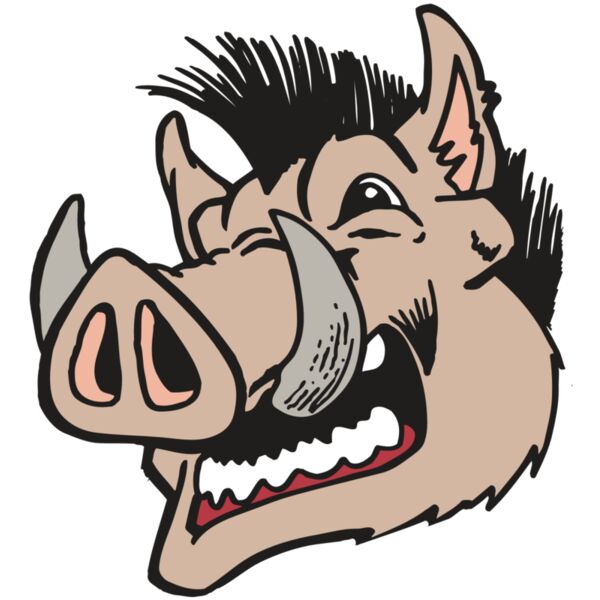 AR RAZORBACK 18 RC Vignette