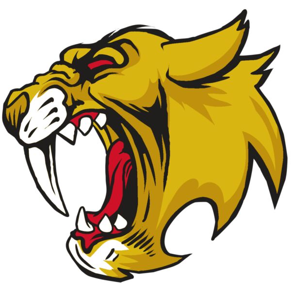 AR30 SABER 04 RQC Vignette