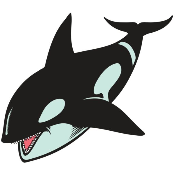 BAW KLRWHALE 02 RC Vignette