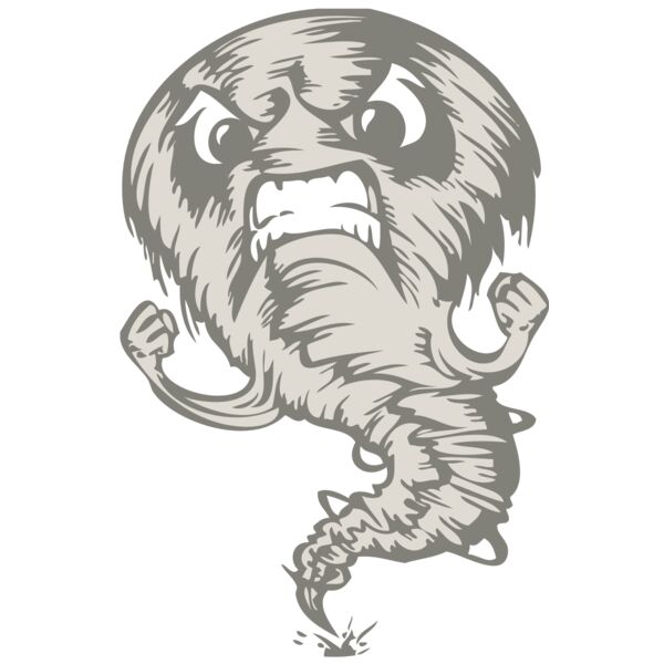 BAW STORM 07 RC Vignette