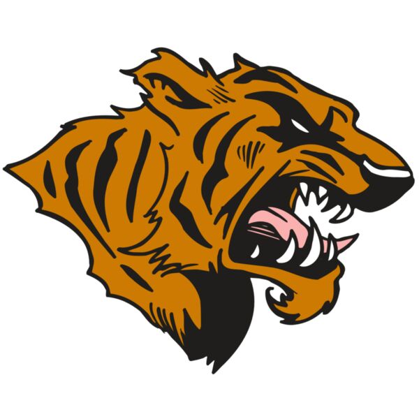 AR5 TIGER 08 RQC Vignette