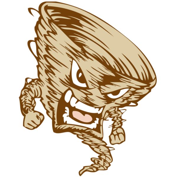 BAW STORM 10 RC Vignette