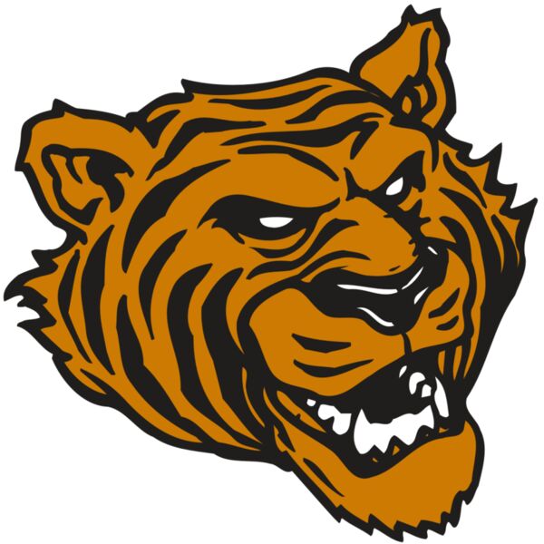 AR TIGER 43 RC Vignette